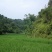 转租丘陵山地