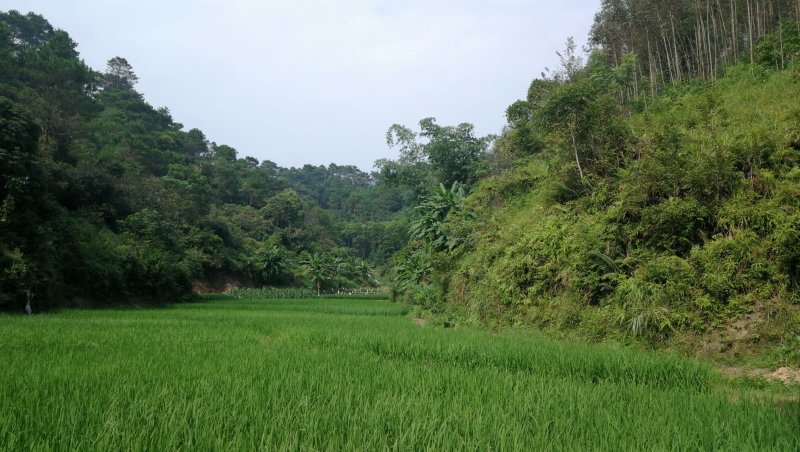 转租丘陵山地