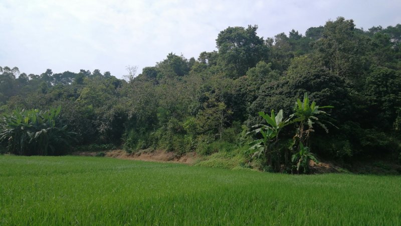 转租丘陵山地