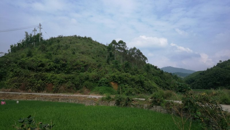 转租丘陵山地