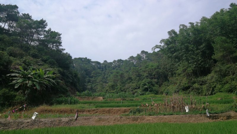 转租丘陵山地