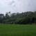 转租丘陵山地
