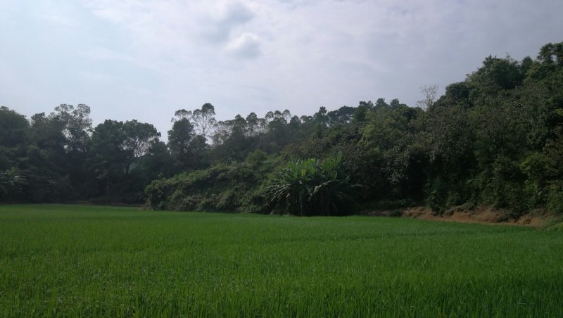 转租丘陵山地