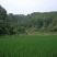 转租丘陵山地