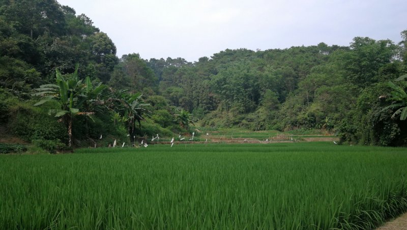 转租丘陵山地