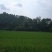 转租丘陵山地