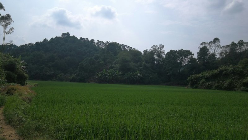 转租丘陵山地