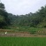 转租丘陵山地