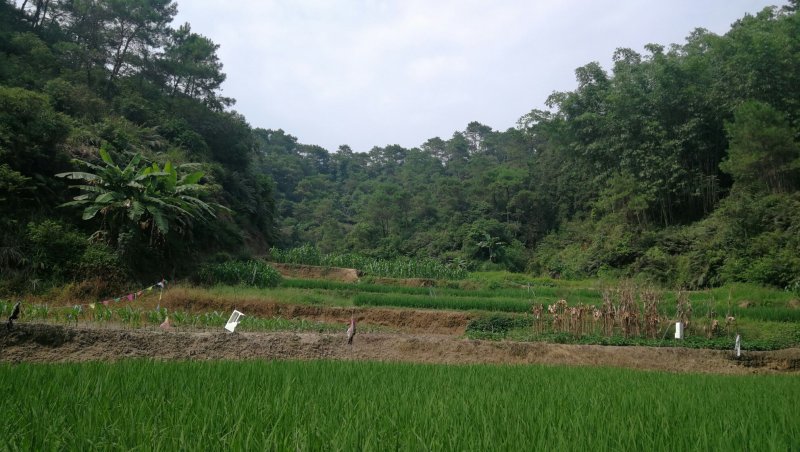 转租丘陵山地