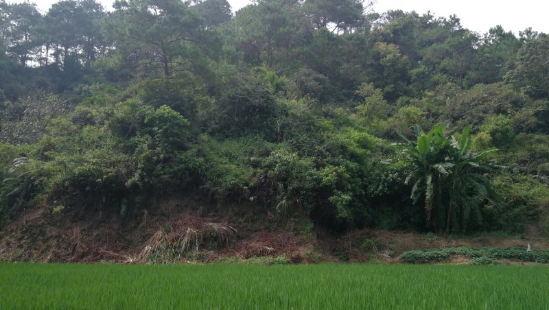 转租丘陵山地