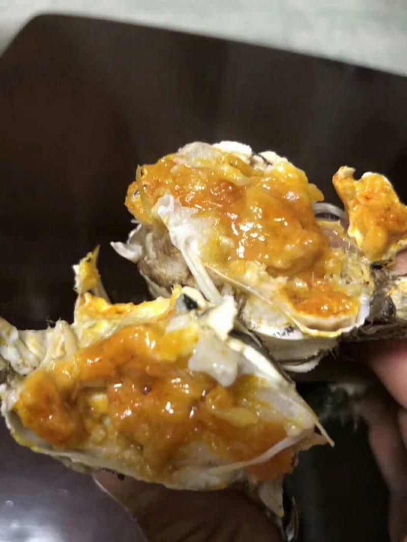 阳澄湖大闸蟹！蟹黄诱人！入口鲜华