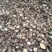 香菇干货