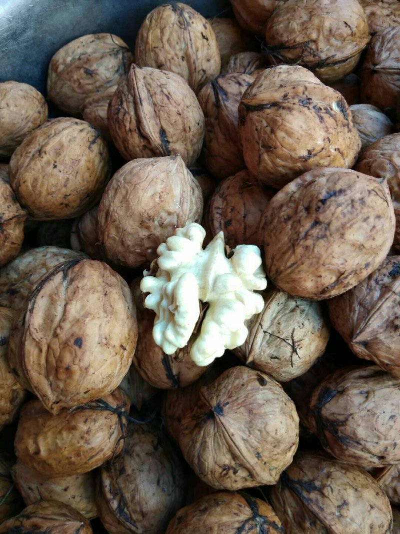 核桃