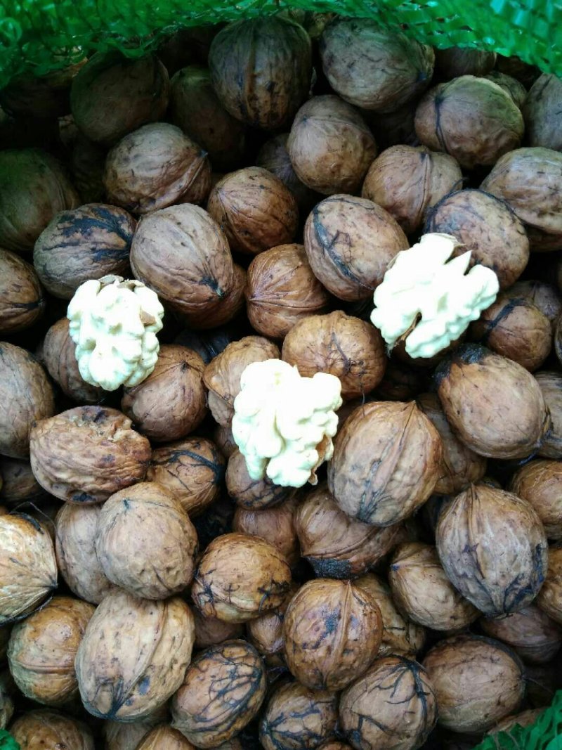 核桃