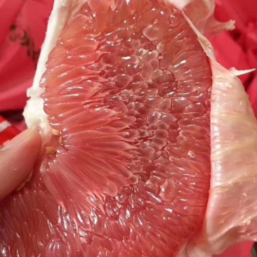 平和琯溪三红柚四粒装