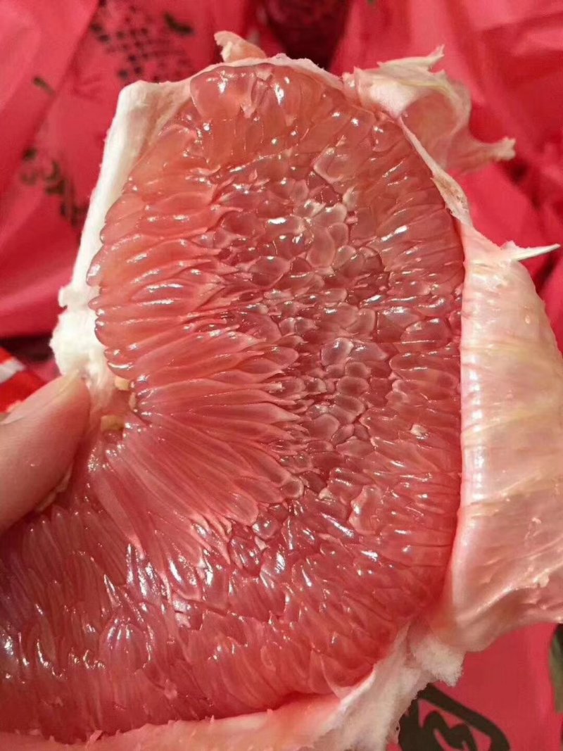 平和琯溪三红柚四粒装