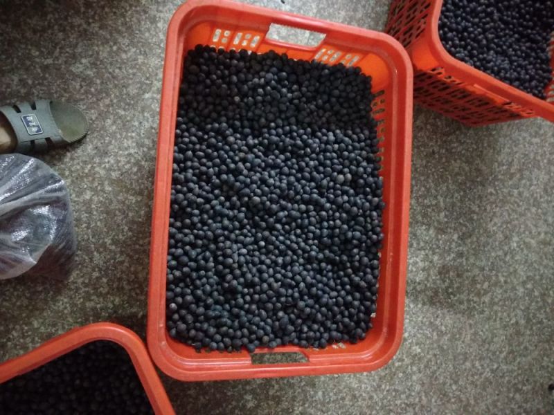 铁莲子，个粒大包满，干度好，无空壳