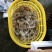皮皮虾活虾