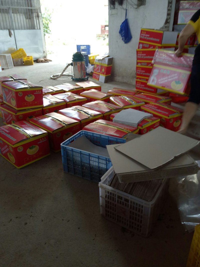 桂林恭成柿子清甜可口欢迎来电