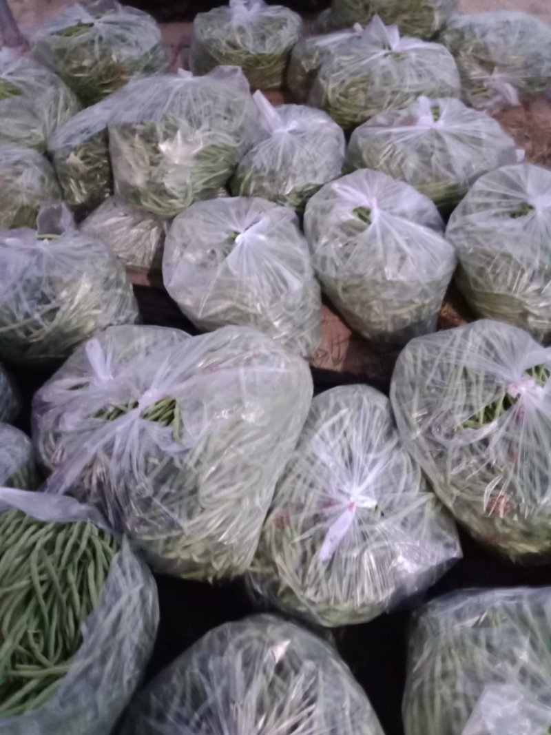 精品白无丝豆豆王