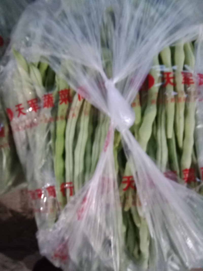 精品白无丝豆豆王