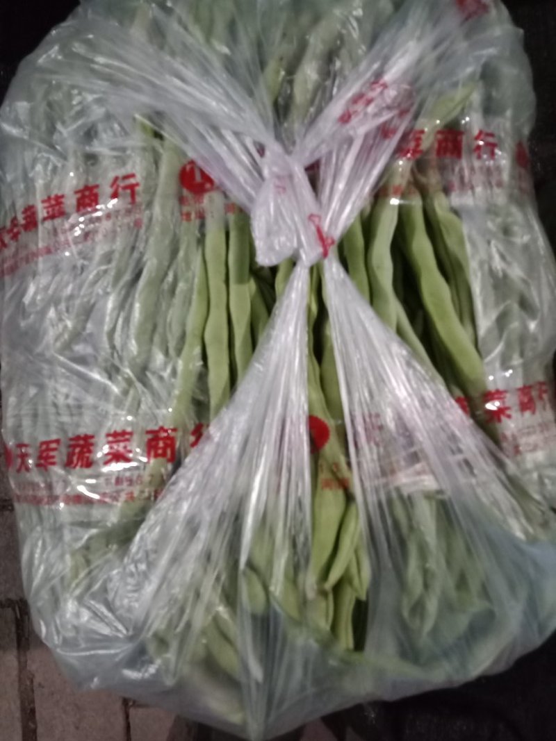 精品白无丝豆豆王