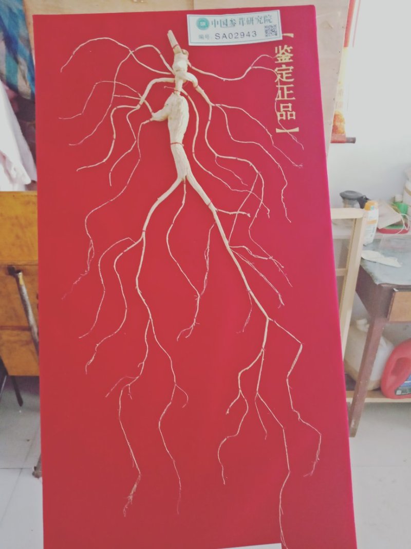 各种规格的礼盒参