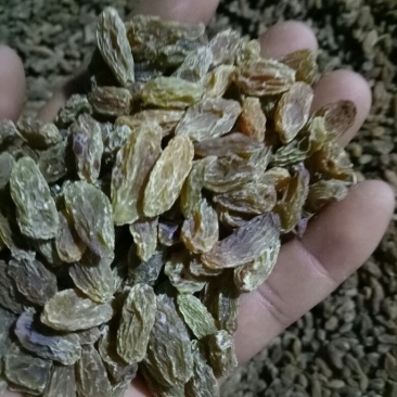 新疆葡萄干