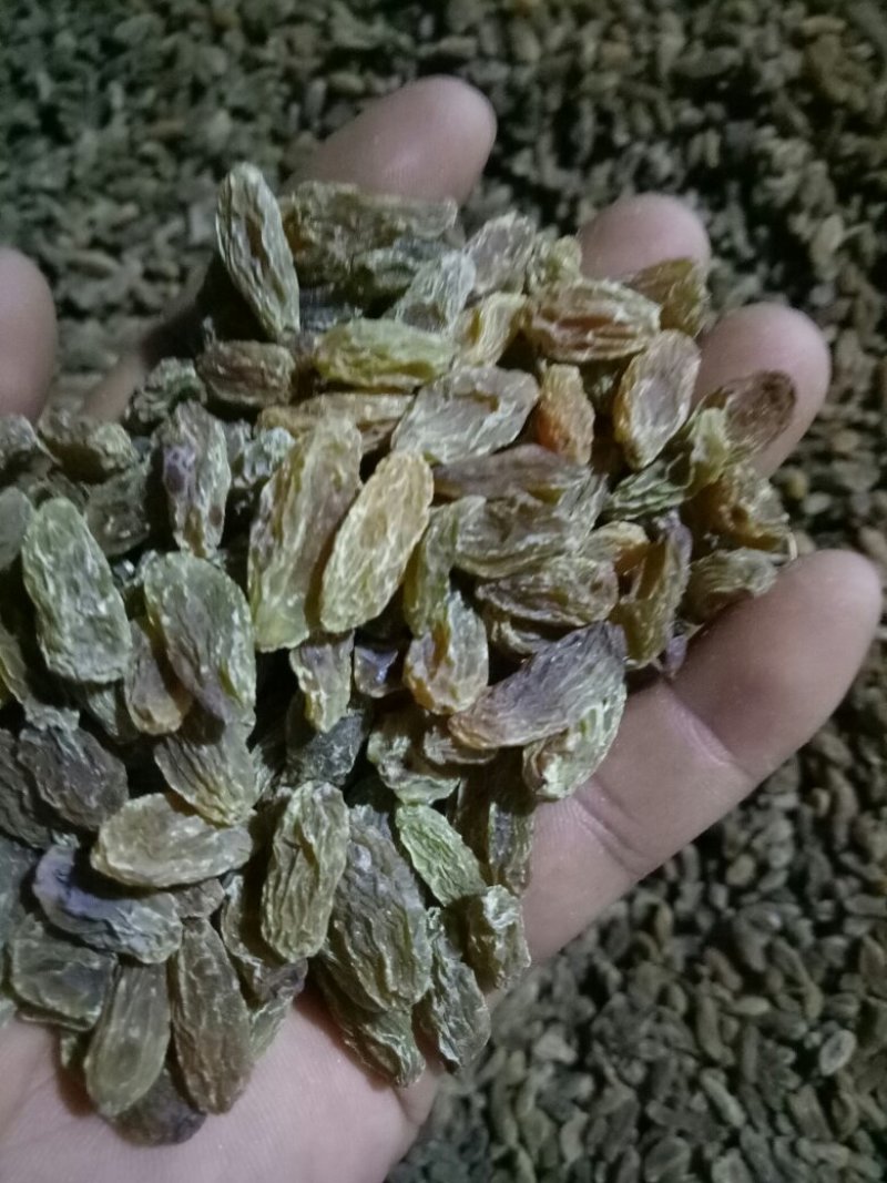 新疆葡萄干