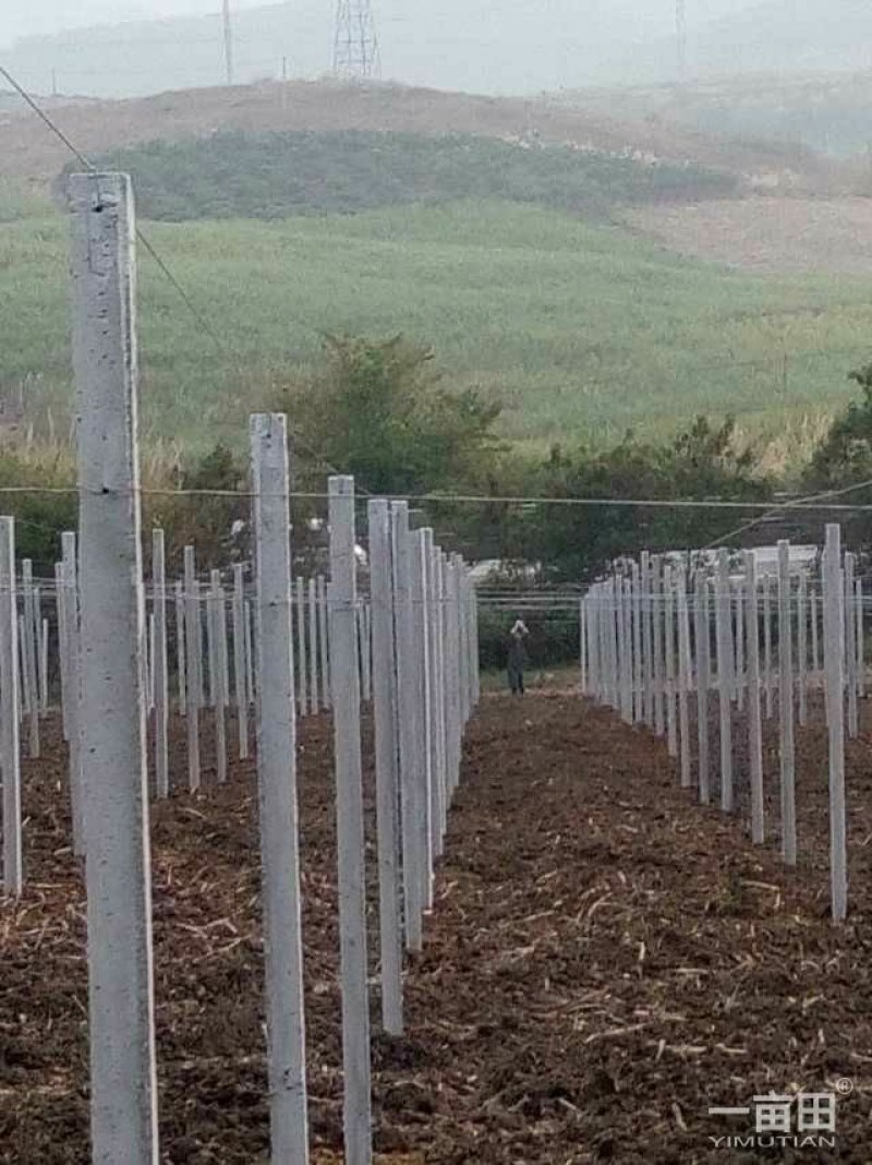 水泥立柱