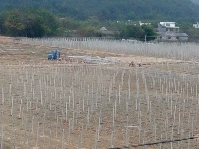 水泥立柱