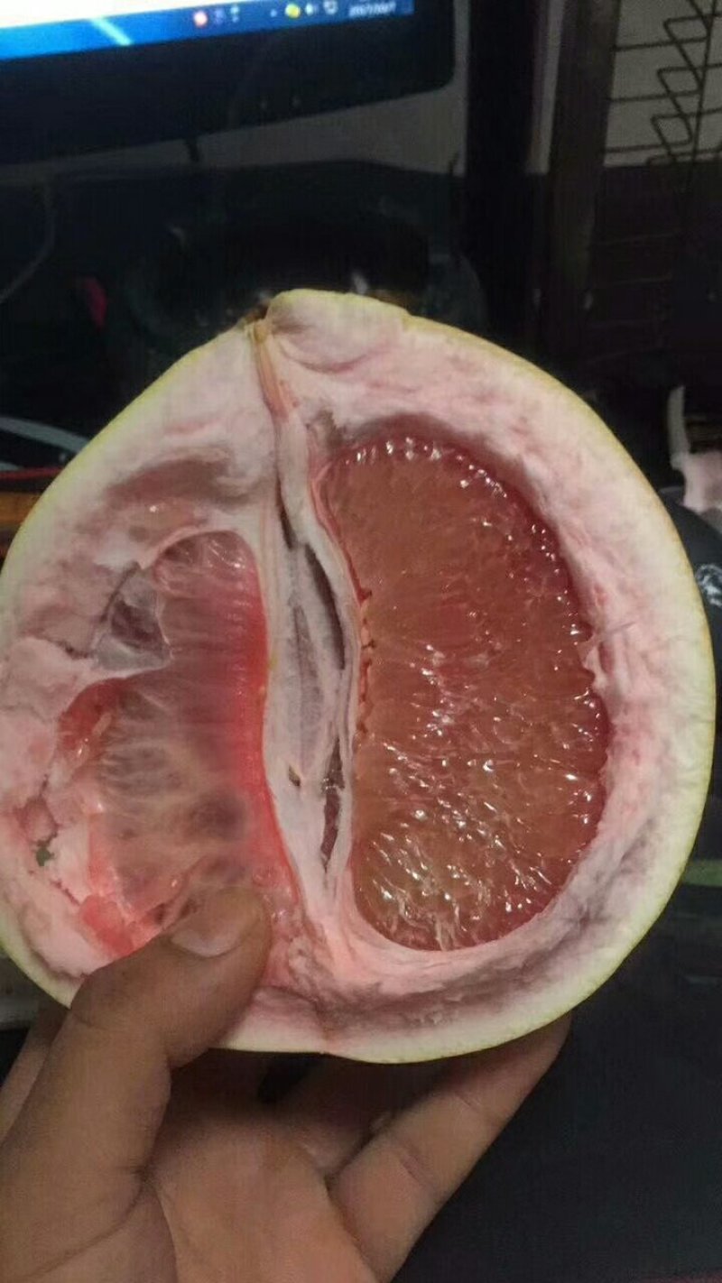 柚子