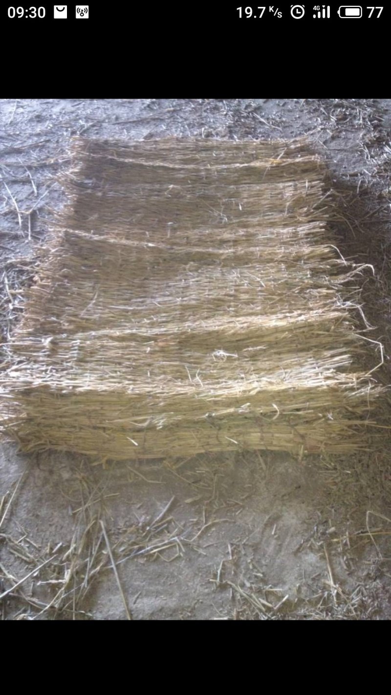草帘，草席批发量大从优