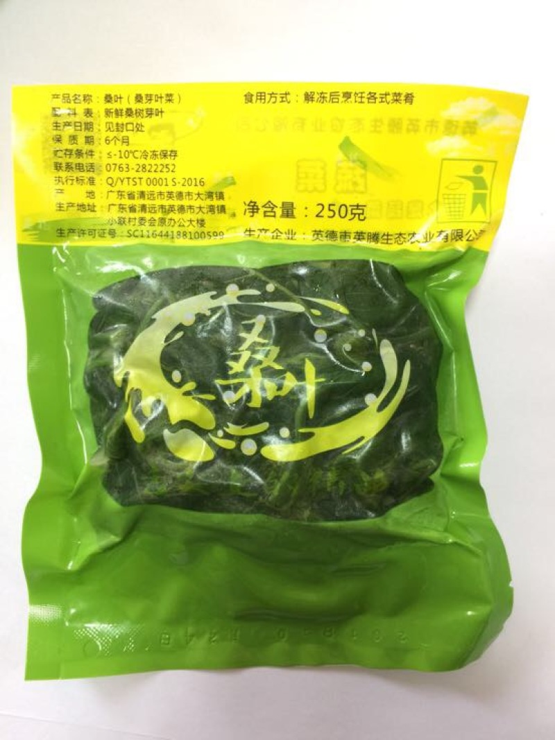 桑芽菜桑叶芽桑芽叶桑芽菜桑叶