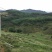 昭通市昭阳区300亩旱地有林地出租