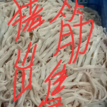 美容养颜