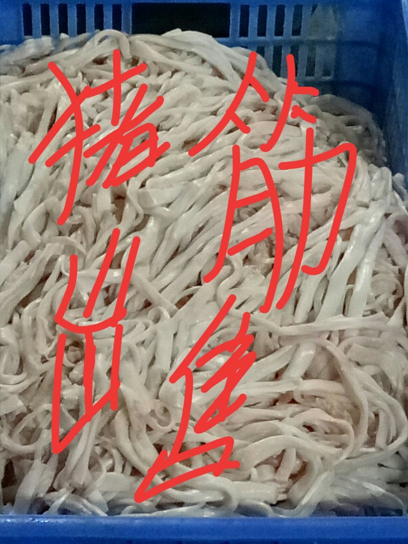 美容养颜