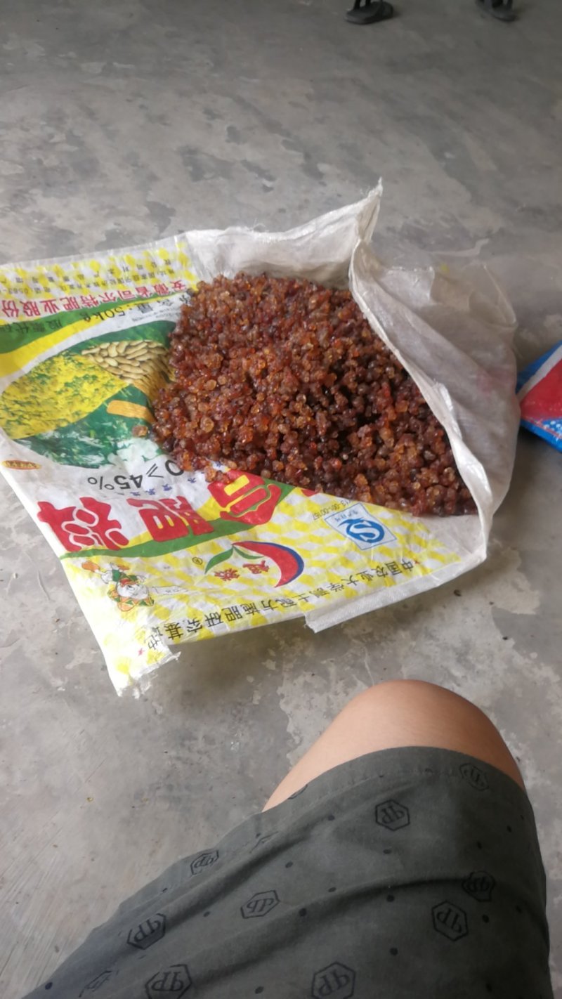 野生桃胶