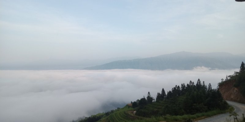 鸡的来源于大瑶山的山勾里，空气好，水质好，卫生，生存散养