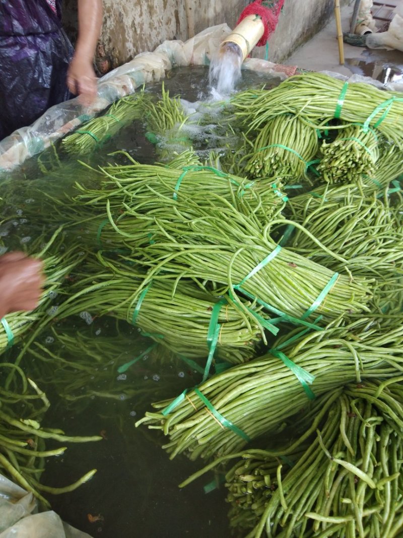 江豆角长豆角