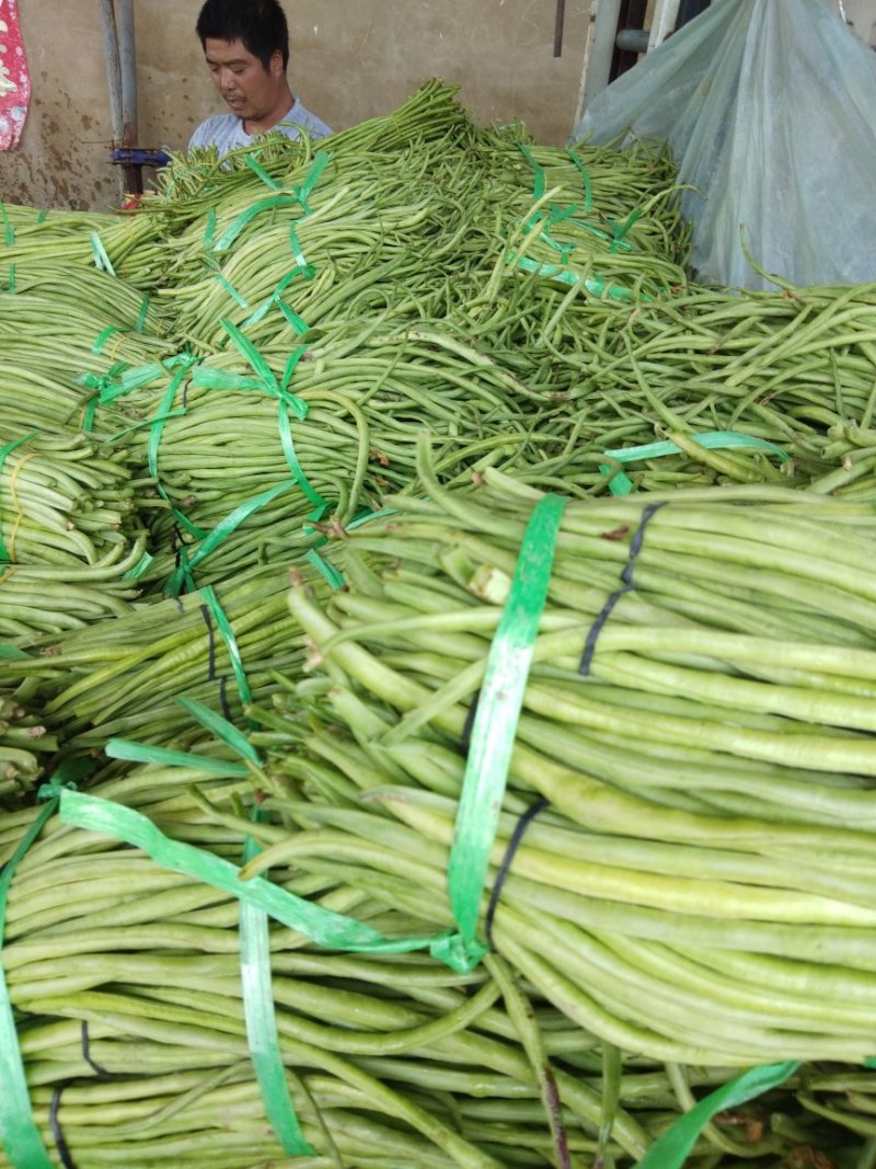 江豆角长豆角