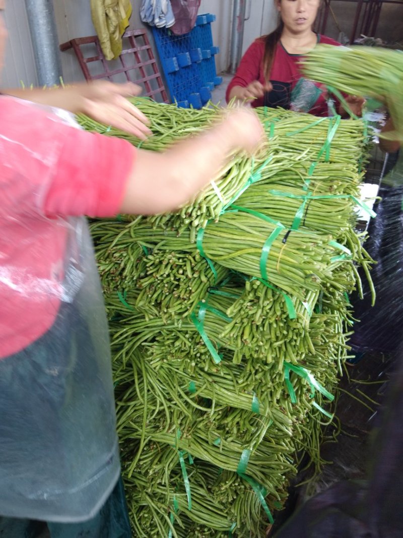 江豆角长豆角