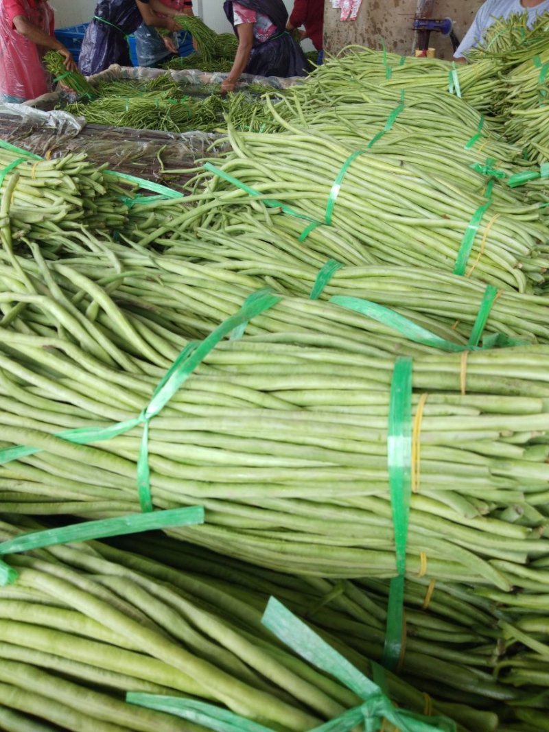 江豆角长豆角