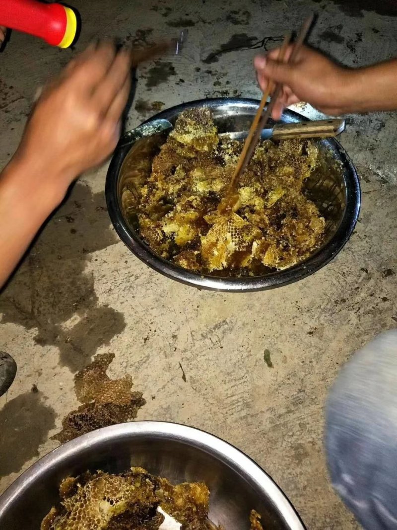 贵州中药材百花蜜，土蜂蜜