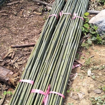 大量供应两米五竹竿批发大棚竹竿物美价廉一手货源