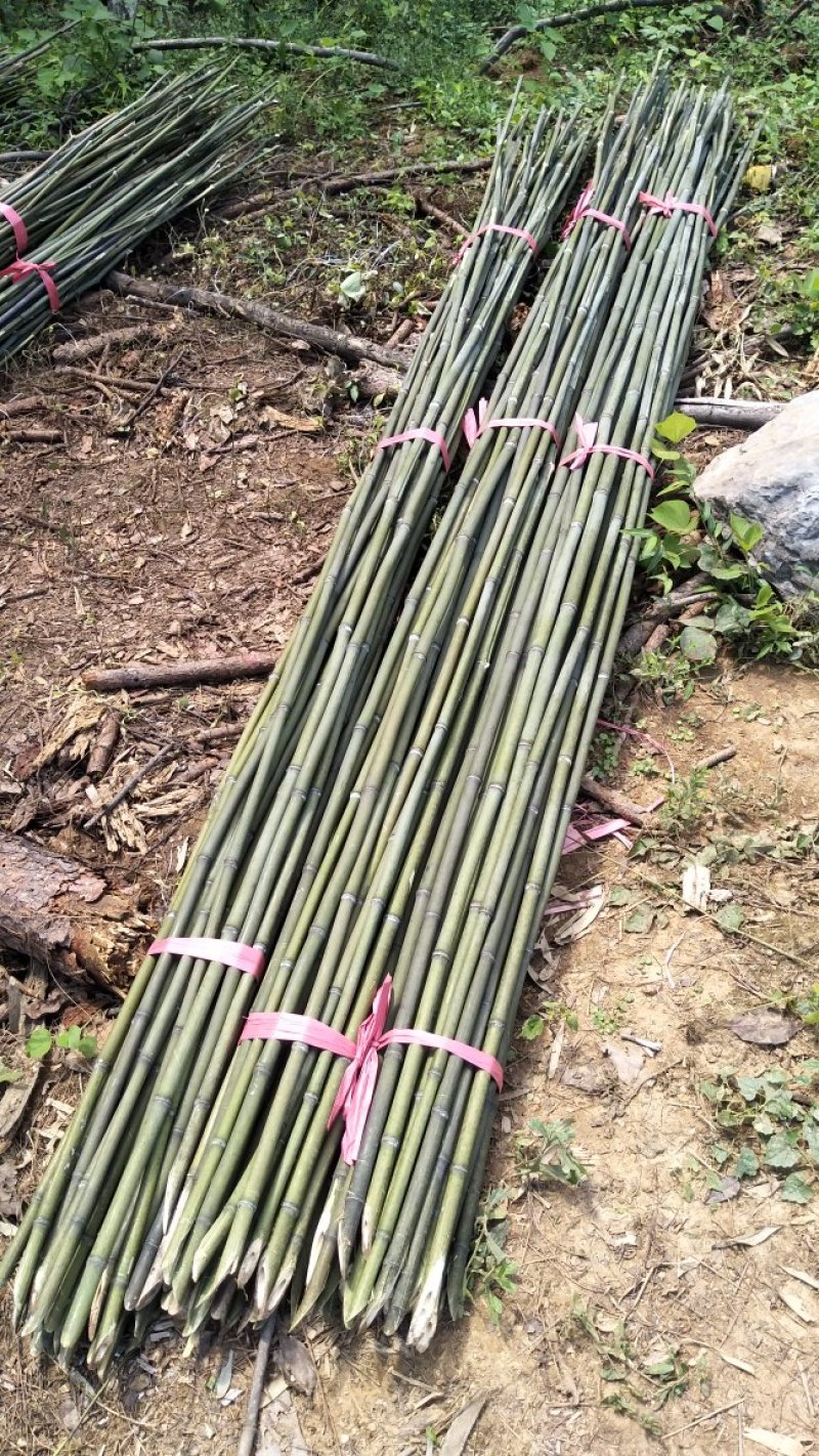 大量供应两米五竹竿批发大棚竹竿物美价廉一手货源