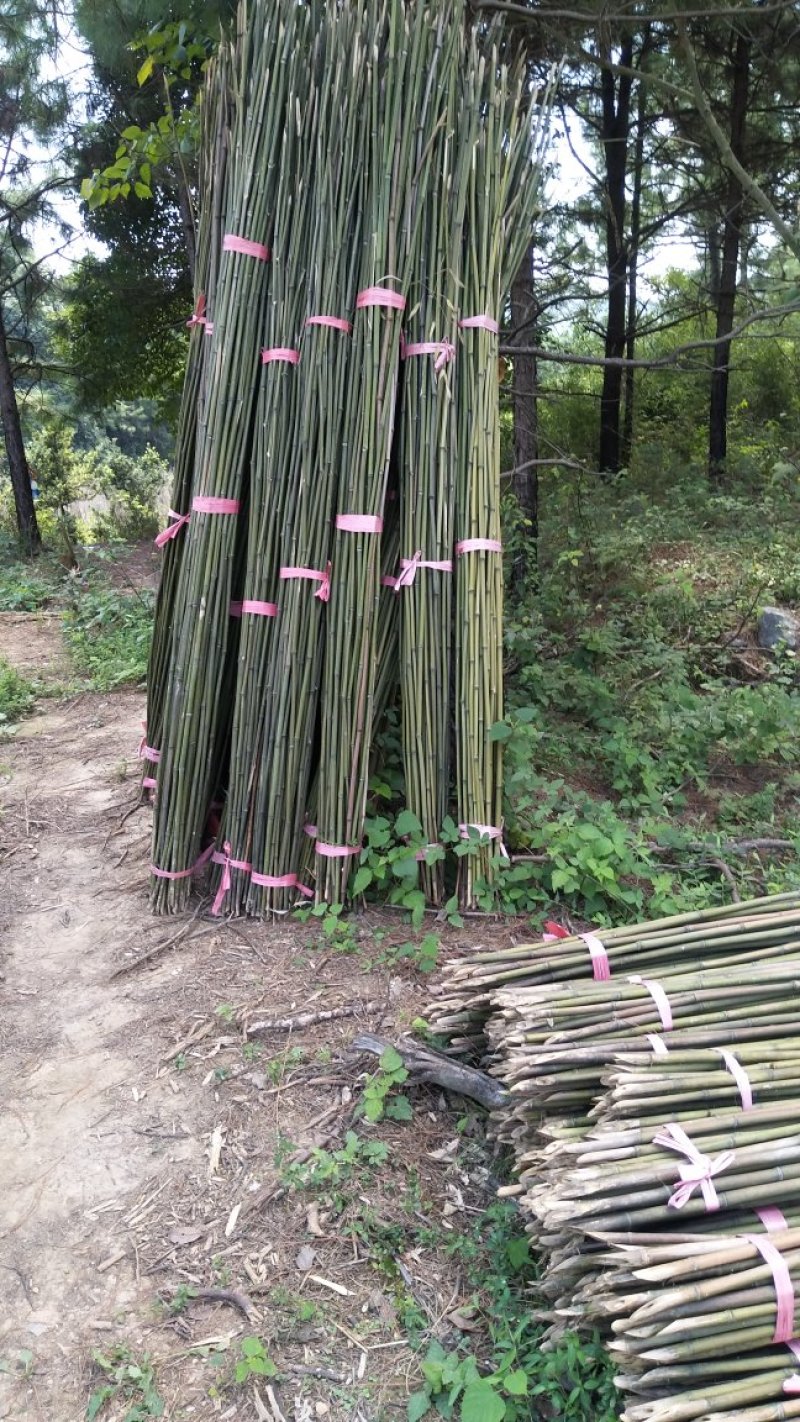 大量供应两米五竹竿批发大棚竹竿物美价廉一手货源