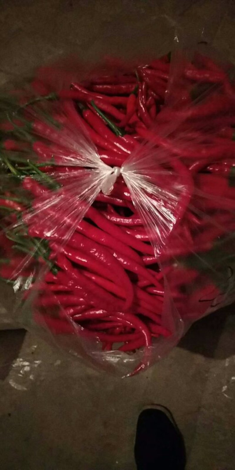 自家线线辣子