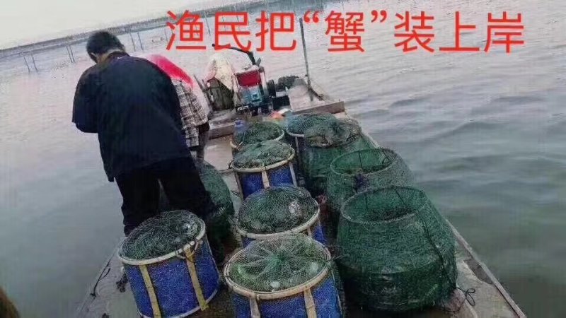一手货源，需要什么规格都有！