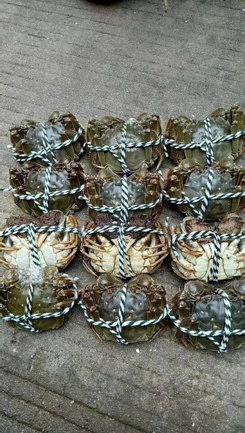 一手货源，需要什么规格都有！